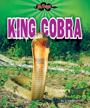 King Cobra - MPHOnline.com