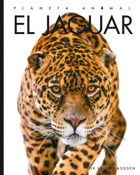 El Jaguar - MPHOnline.com