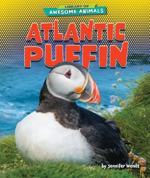 Atlantic Puffin - MPHOnline.com