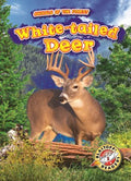 White-tailed Deer - MPHOnline.com