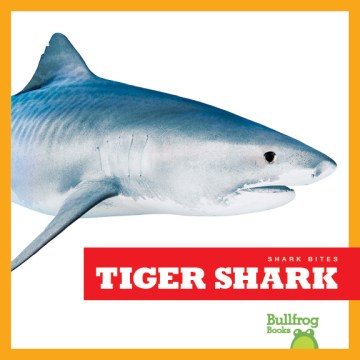 Tiger Shark - MPHOnline.com