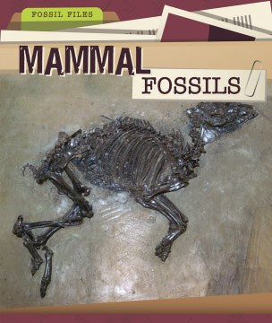 Mammal Fossils - MPHOnline.com