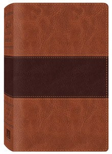 The KJV Study Bible - MPHOnline.com