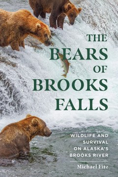 The Bears of Brooks Falls - MPHOnline.com