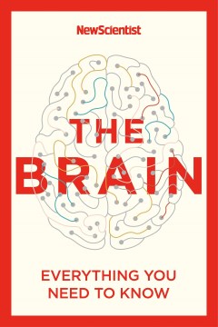 The Brain : Everything You Need to Know - MPHOnline.com