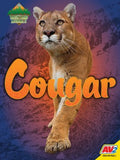 Cougar - MPHOnline.com