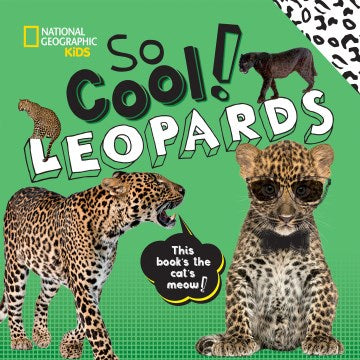 So Cool! Leopards - MPHOnline.com