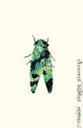 Cicada - MPHOnline.com