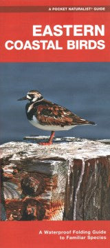 Eastern Coastal Birds - MPHOnline.com