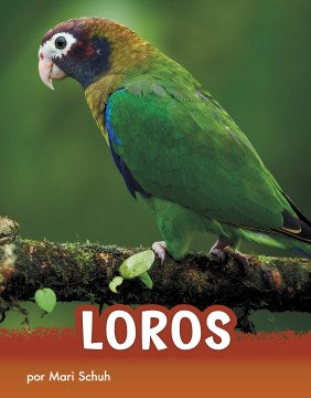 Loros / Parrots - MPHOnline.com