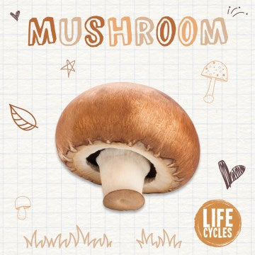 Mushroom - MPHOnline.com