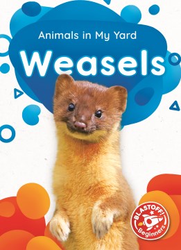 Weasels - MPHOnline.com