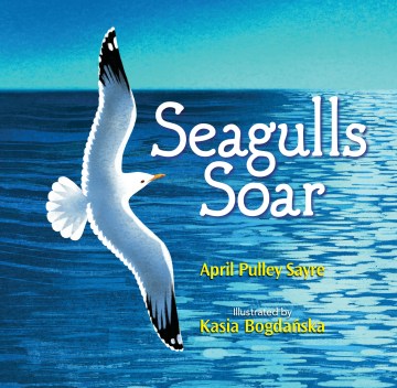 Seagulls Soar - MPHOnline.com