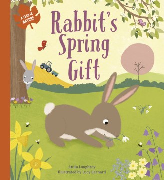 Rabbit's Spring Gift - MPHOnline.com