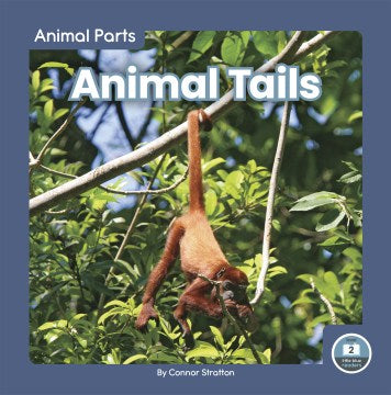 Animal Tails - MPHOnline.com