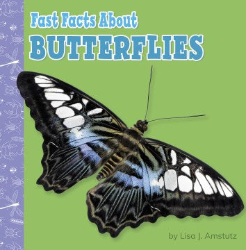 Fast Facts About Butterflies - MPHOnline.com