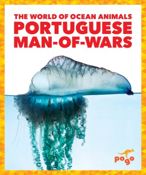 Portuguese Man-of-wars - MPHOnline.com