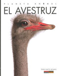 El avestruz / Ostriches - MPHOnline.com