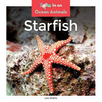 Starfish - MPHOnline.com