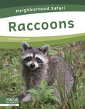 Raccoons - MPHOnline.com