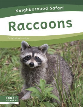 Raccoons - MPHOnline.com