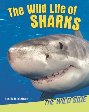 The Wild Life of Sharks - MPHOnline.com