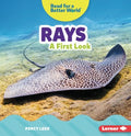 Rays - MPHOnline.com