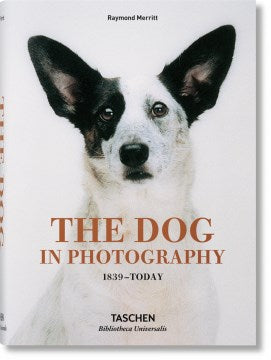 The Dog in Photography / Der Hund In Der Fotografie / Le Chien Dans La Photographie - MPHOnline.com