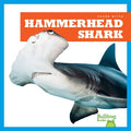 Hammerhead Shark - MPHOnline.com