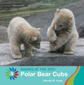 Polar Bear Cubs - MPHOnline.com