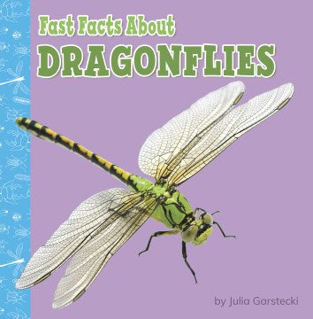 Fast Facts About Dragonflies - MPHOnline.com