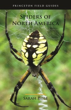 Spiders of North America - MPHOnline.com