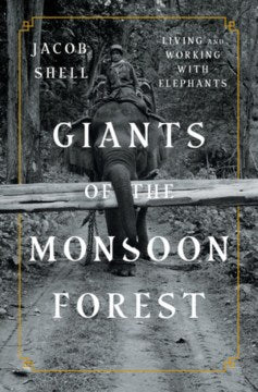 Giants of the Monsoon Forest - MPHOnline.com