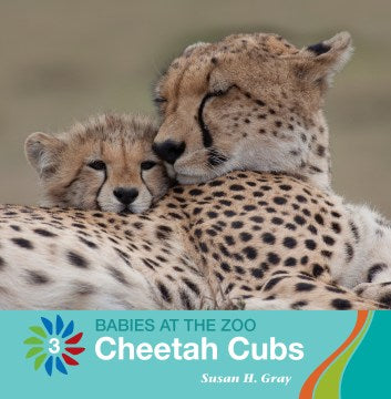 Cheetah Cubs - MPHOnline.com