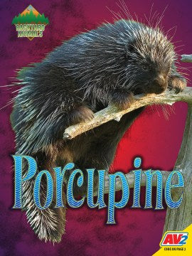 Porcupine - MPHOnline.com