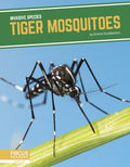 Tiger Mosquitoes - MPHOnline.com