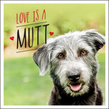 Love Is a Mutt - MPHOnline.com