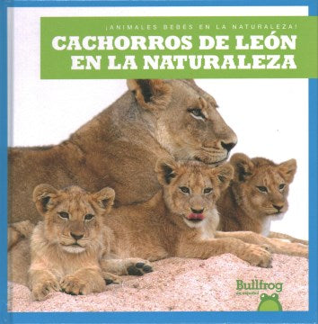 Cachorros de leon en la naturaleza / Lion Cubs in the Wild - MPHOnline.com