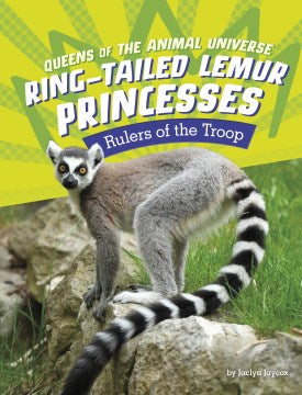 Ring-tailed Lemur Princesses - MPHOnline.com