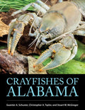 Crayfishes of Alabama - MPHOnline.com