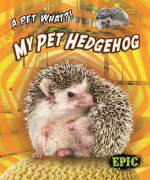 My Pet Hedgehog - MPHOnline.com