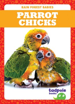 Parrot Chicks - MPHOnline.com