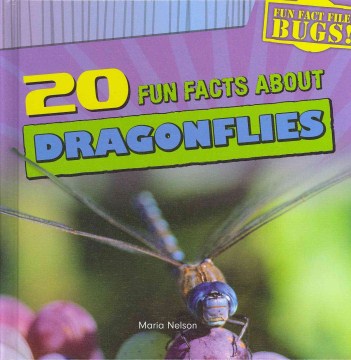 20 Fun Facts About Dragonflies - MPHOnline.com