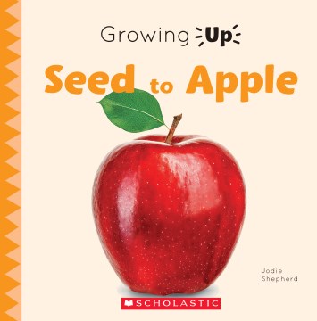 From Seed to Apple Tree - MPHOnline.com