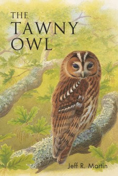 The Tawny Owl - MPHOnline.com