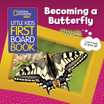 Becoming a Butterfly - MPHOnline.com