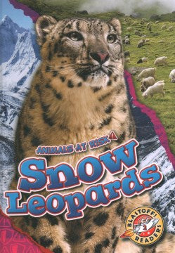 Snow Leopards - MPHOnline.com