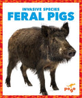 Feral Pigs - MPHOnline.com