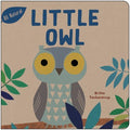 Little Owl - MPHOnline.com