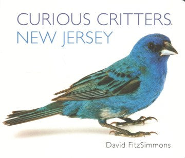 Curious Critters New Jersey - MPHOnline.com